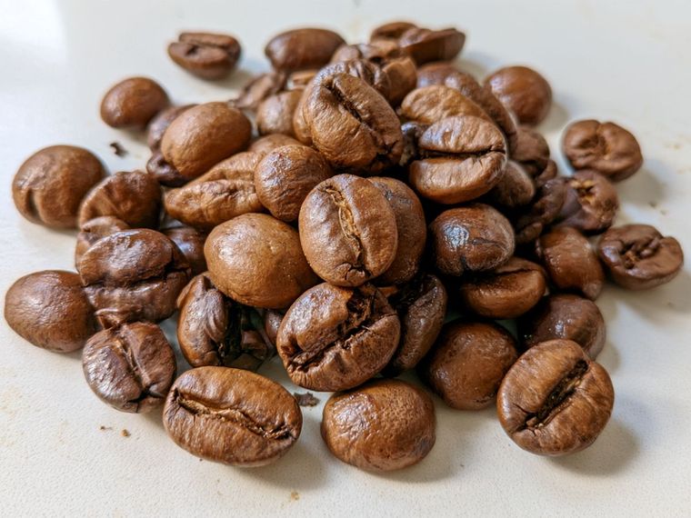 Medium roast coffee beans in a small white bowl